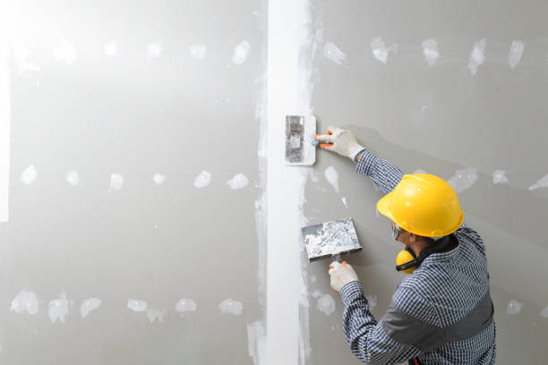 Best Black Mold Removal  in Wabash, IN